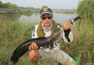 路亞釣黑魚用什么假餌？路亞釣黑魚用什么餌？