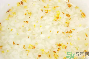 新鮮桂花可以煮粥嗎？桂花可以煮粥嗎？