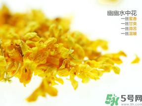 桂花可以泡水喝嗎？桂花怎么泡水？