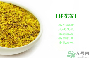 新鮮桂花怎么做茶？新鮮桂花怎么做桂花茶？