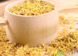 新鮮桂花能泡茶嗎？新鮮怎么處理泡茶？