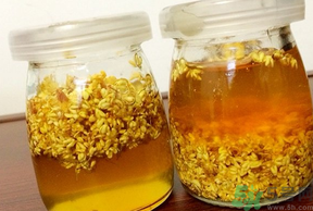 干桂花可以做桂花蜜嗎？干桂花怎么做桂花蜜？