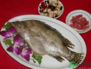 桂魚(yú)怎么保存？桂魚(yú)放冰箱怎么保存？