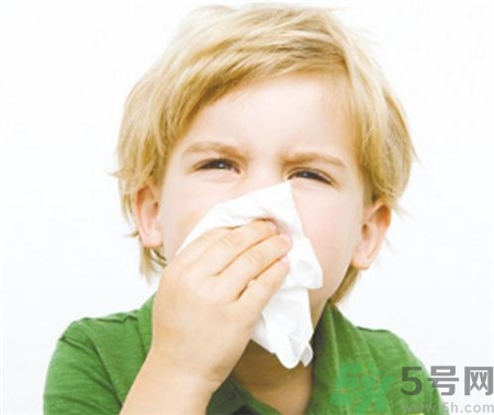 熱敷鼻子對(duì)鼻塞有用嗎?熱敷鼻子有什么用? 熱敷鼻子對(duì)鼻塞有用嗎?熱敷鼻子有什么用?