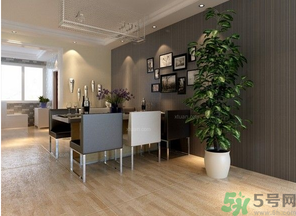 桂花樹可以種在室內嗎？桂花樹適合在室內嗎？