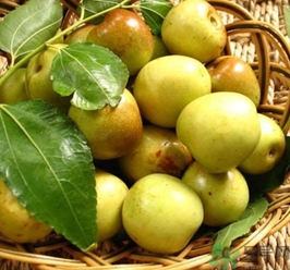 減肥可以吃冬棗嗎？減肥什么時(shí)候吃冬棗好？