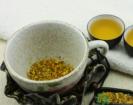 桂花茶怎么搭配效果好？桂花茶搭配什么好？