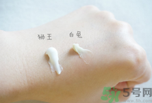 白兔祛痘膏和獅王哪個(gè)好？白兔牌暗瘡膏哪款好？