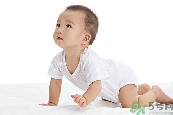 吃南瓜子可以打蟲(chóng)嗎,南瓜子能打蛔蟲(chóng)嗎？