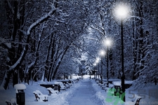 冬季養(yǎng)生吃什么最好？冬季養(yǎng)生吃三冬