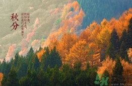 秋燥吃什么水果好?立秋吃什么水果解燥 秋燥吃什么水果好?立秋吃什么水果解燥