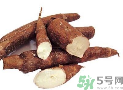 木薯粉有毒嗎?木薯粉可以用什么代替 木薯粉有毒嗎?木薯粉可以用什么代替