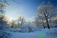 立冬能吃冬棗嗎？立冬吃冬棗有什么好處？