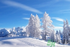 立冬能吃冬棗嗎？立冬吃冬棗有什么好處？