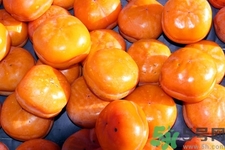 紅薯和柿子能一起吃嗎？紅薯和柿子為什么不能一起吃？