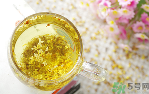 月經(jīng)期能喝桂花茶嗎？經(jīng)期能喝桂花茶嗎？