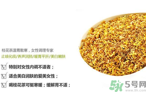 月經(jīng)期能喝桂花茶嗎？經(jīng)期能喝桂花茶嗎？