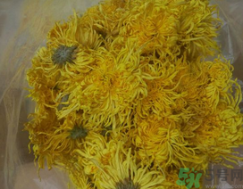 新鮮菊花怎么曬干？新鮮菊花怎么處理？