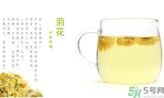 菊花茶可以放冰箱嗎？菊花茶能放冰箱冷凍嗎？