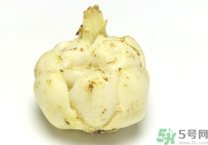 新鮮百合可以放冰箱嗎？鮮百合可以冷凍嗎？