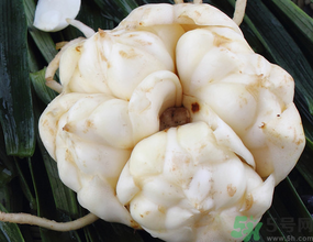 新鮮百合有苦味能吃嗎？鮮百合怎么去苦味？