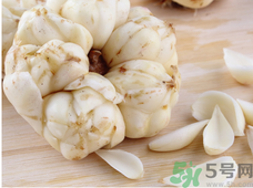 新鮮百合什么時候上市？鮮百合什么時候上市？