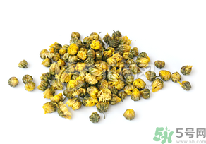 干菊花長蟲怎么辦？干菊花長蟲還能喝嗎？