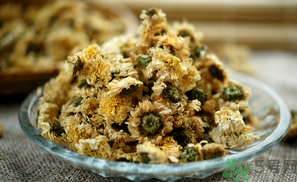 干菊花長蟲怎么辦？干菊花長蟲還能喝嗎？