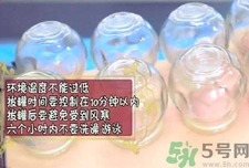 拔罐后罐印顏色越深代表什么? 拔罐后罐印顏色越深代表什么?