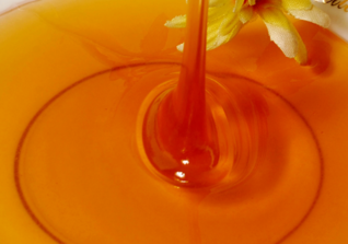 野生蜂蜜怎么提??？野生蜂蜜怎么過(guò)濾？