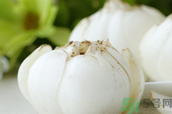 新鮮百合可以生吃嗎？新鮮百合能吃嗎？