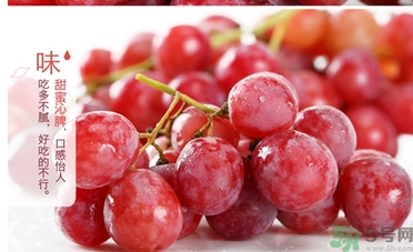 紅提的籽能吃嗎？紅提的籽怎么吃最好？