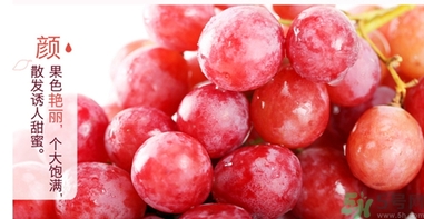 吃紅提要剝皮嗎？紅提皮可以吃嗎？