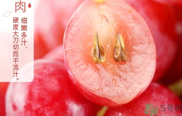 吃紅提要剝皮嗎？紅提皮可以吃嗎？