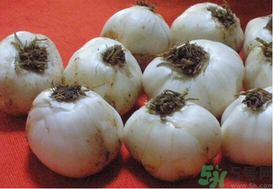 鮮百合變色了能吃嗎？鮮百合變紫色了能吃嗎？