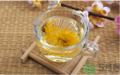 菊花茶可以天天喝嗎？菊花茶喝多了會(huì)怎么樣？