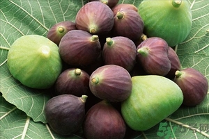 無花果能治拉肚子嗎?無花果怎么治拉肚子 無花果能治拉肚子嗎?無花果怎么治拉肚子