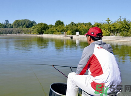 秋天釣魚(yú)用什么打窩？秋天釣鯉魚(yú)用什么打窩？