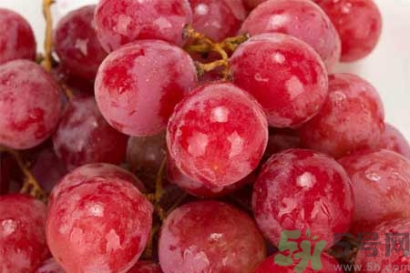 紅提子的營養(yǎng)價(jià)值 紅提子的功效與作用