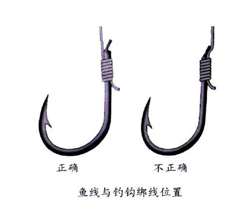 釣鯉魚用幾號鉤？釣鯉魚用什么鉤？