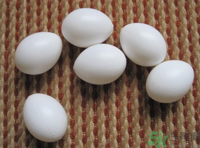 鴿子蛋多少錢一個？鴿子蛋多少錢一斤？?