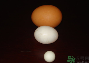 鴿子蛋多少錢一個？鴿子蛋多少錢一斤？?