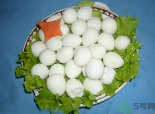 鴿子蛋怎么煮不會(huì)破裂？鴿子蛋怎么煮不會(huì)破？