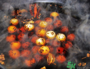 鵪鶉蛋煮多久能熟？鵪鶉蛋怎么煮？