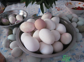 鴨蛋和雞蛋哪個(gè)營(yíng)養(yǎng)價(jià)值高？鴨蛋和雞蛋的區(qū)別