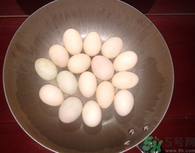 鴨蛋煮多久能熟？鴨蛋怎么煮？
