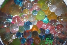 誤食水寶寶有毒嗎？誤食水寶寶后該怎么辦？