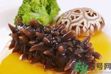 吃海參會(huì)上火嗎？經(jīng)常吃海參會(huì)上火嗎？