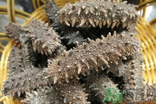 一天中海參什么時候吃最好？吃海參的最佳時間