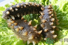 孕婦能吃海參嗎？孕婦吃海參的好處